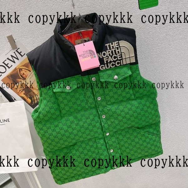 人気 ザ・ノース・フェイス ダウンベスト N級品 - clothing-01327