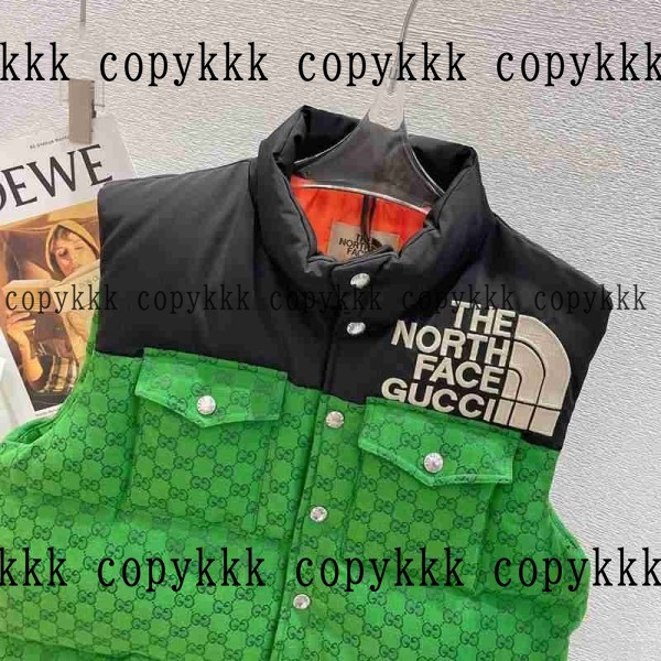 人気 ザ・ノース・フェイス ダウンベスト N級品 - clothing-01327 画像 2