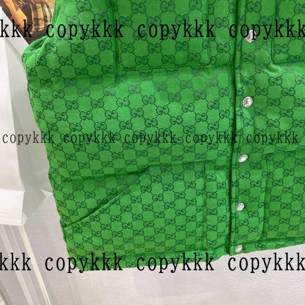人気 ザ・ノース・フェイス ダウンベスト N級品 - clothing-01327 画像 3