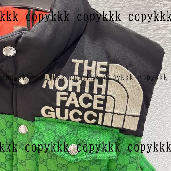 人気 ザ・ノース・フェイス ダウンベスト N級品 - clothing-01327 画像 5