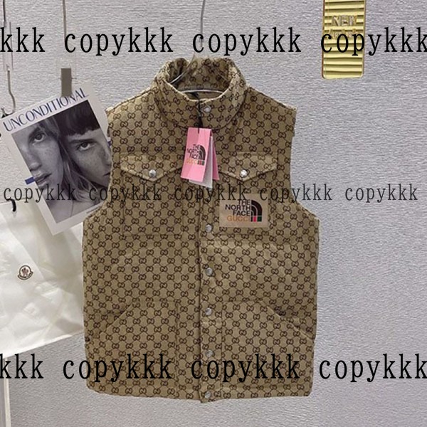格安 ザ・ノース・フェイス ダウンベスト スーパーコピー - clothing-01343