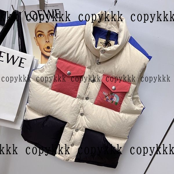 人気 ザ・ノース・フェイス ダウンベスト N級品 - clothing-01321