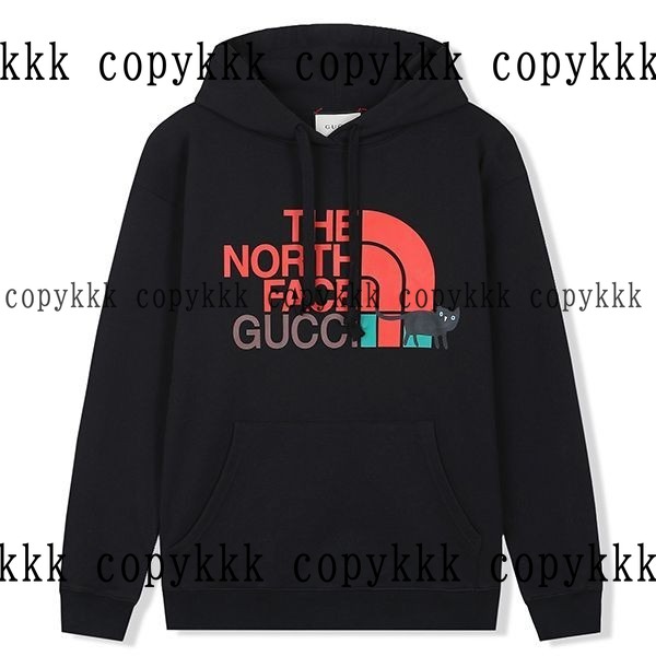 人気 ザ・ノース・フェイス パーカー N級品 - clothing-01564