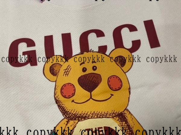 送料無料 ザ・ノース・フェイス パーカー スーパーコピー - clothing-01578 画像 3