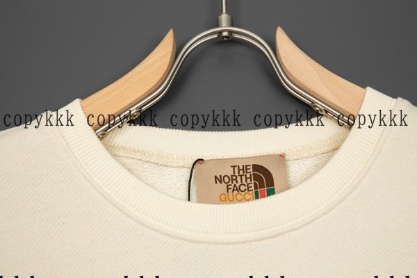 人気 ザ・ノース・フェイス パーカー N級品 - clothing-01582 画像 3