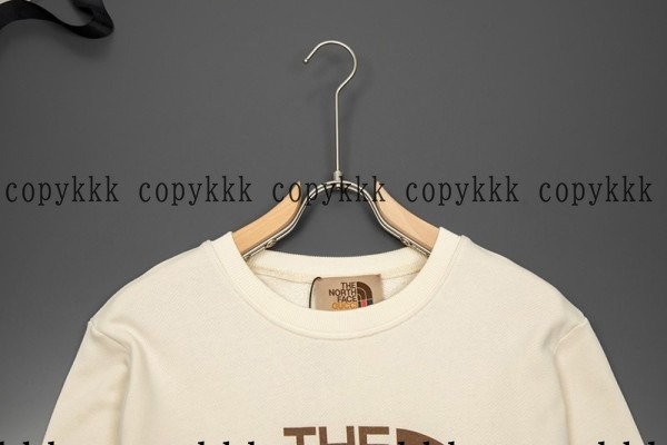 人気 ザ・ノース・フェイス パーカー N級品 - clothing-01582 画像 6