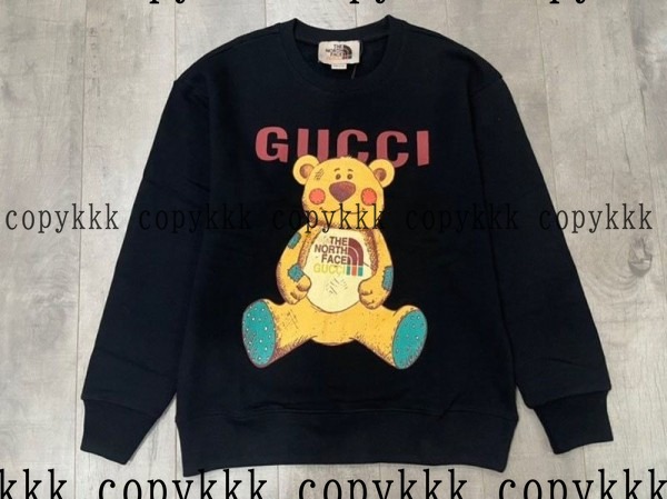 ザ・ノース・フェイス パーカー コピー 激安通販 - clothing-01585