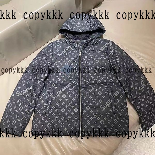 人気 ルイ・ヴィトン ダウンジャケット N級品 - clothing-02109