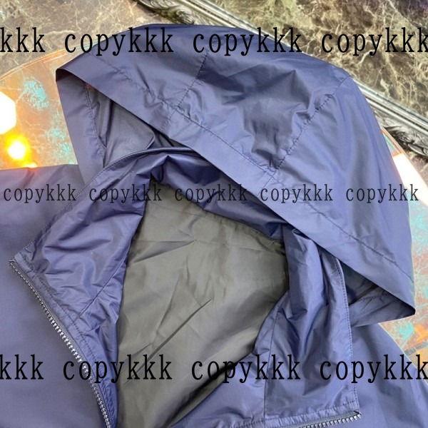 ルイ・ヴィトン パーカー N級品 送料無料 - clothing-02698 画像 5