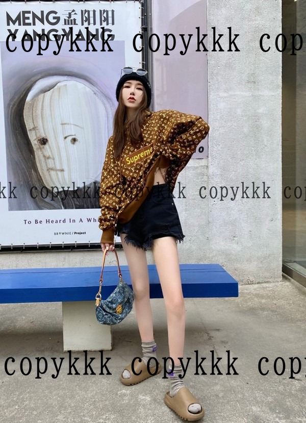 人気 ルイ・ヴィトン パーカー N級品 - clothing-02703 画像 5