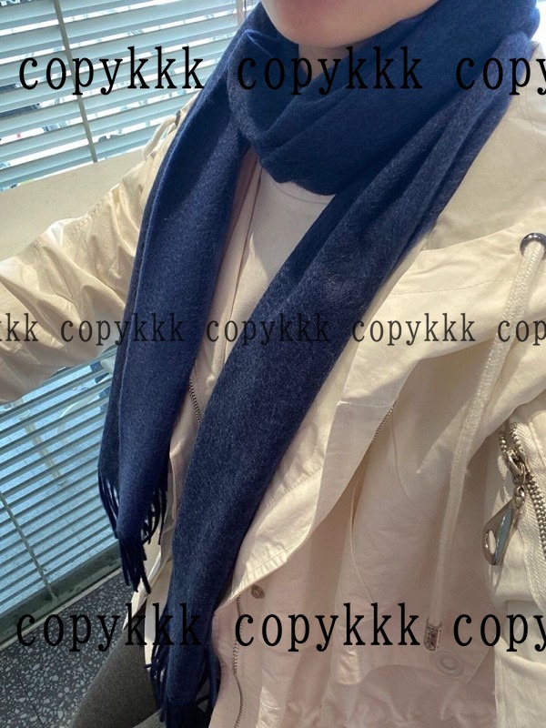 ロエベ スカーフ ブランドコピー 激安通販 - scarves-00555 画像 9